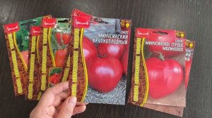 ОБЗОР МИНУСИНСКИХ ТОМАТОВ ЧАСТНОЙ КОЛЛЕКЦИИ