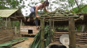 Дорис 45. Дорис строит крышу над печкой во дворе и выгребную яму для навоза у загона со свинками