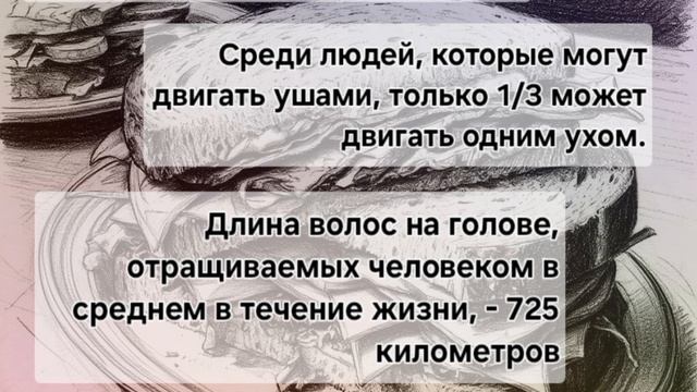 интересные факты