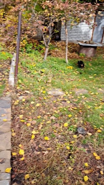 Люблю малину!😋😋😋 смотреть онлайн