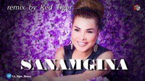 Ulduz Usmonova - Sanamgina ( Red Tiger remix ) 2025