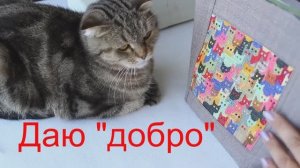 Как я шью сумки и моя кошка мне "помогает"