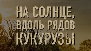 На Солнце вдоль рядов Кукурузы...филм ...