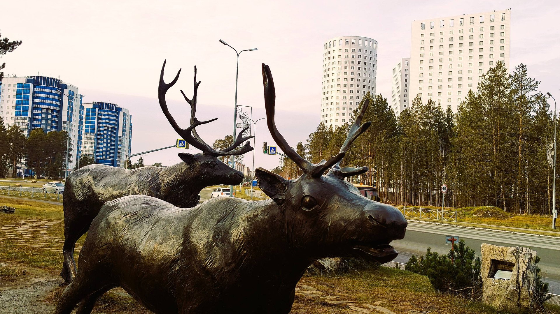 Куриные джерки.Тропа здоровья.Циркуль.