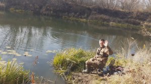 Рыбалка в Конце Октября на Поплавок.Приятный Улов Ельца и Плотвы!