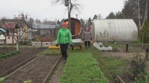 6 соток 24 октября 2025 года. 1 часть.