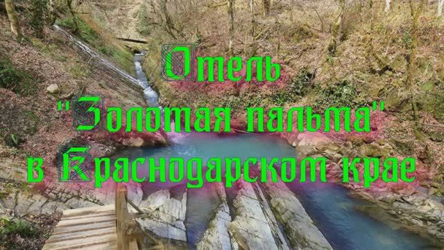 Отель «Золотая пальма» в Краснодарском крае смотреть онлайн