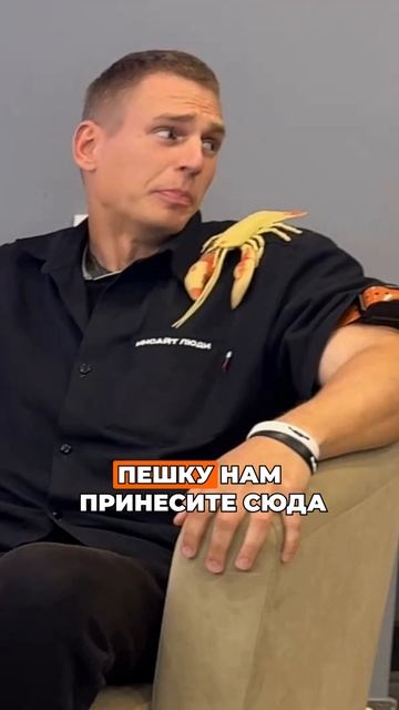 Так как правильно?