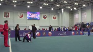Кубок России по ушу. Турнир по ушу «Связь поколений» 2025 г.