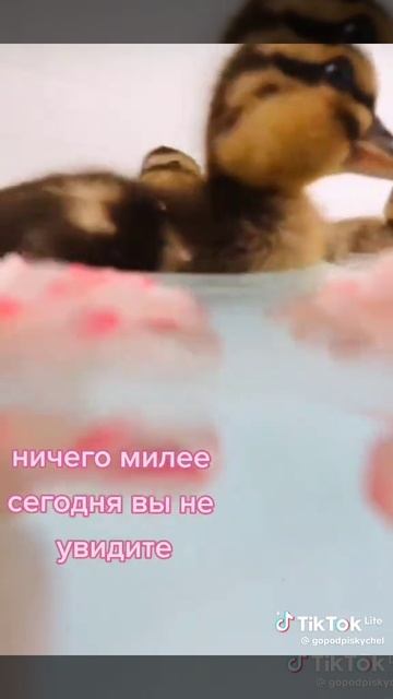 полностью согласен