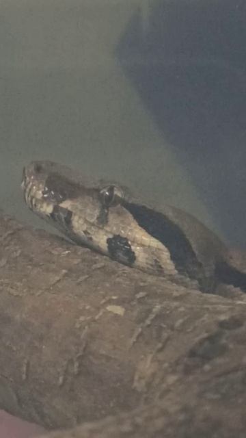 Лицо Ноники... 24 октября 2025 г. смотреть онлайн