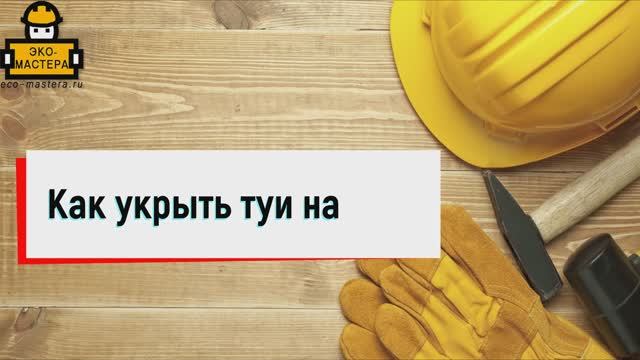 Как укрыть туи на зиму