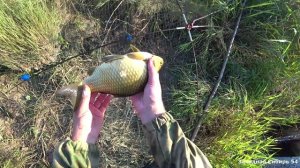 Он всё-таки её поймал! Рыбалка на паук подъёмник!!