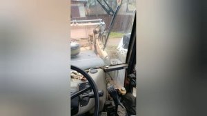 Тормоза снова заскрипели. Буду менять на другое масло. 26.10.25.