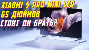 Телевизор Xiaomi TV S Pro Mini LED 65 СПУСТЯ ПОЛГОДА