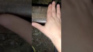 жёсткая прогулка часть 2