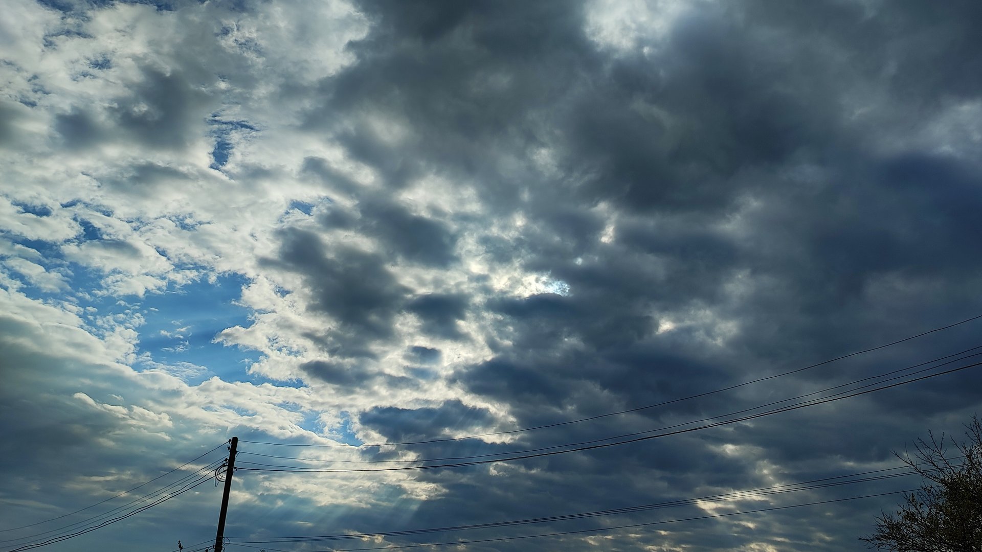 Гон голубей 26.10.25г.