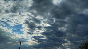 Гон голубей 26.10.25г.