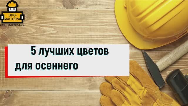 5 цветов для осеннего цветника