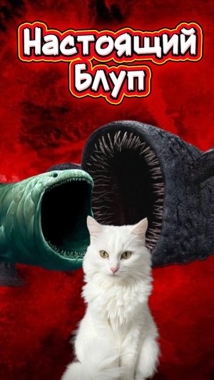 Это настоящий Блуп? #кот #кошка #котики #животные #ужасы #страшно #блуп