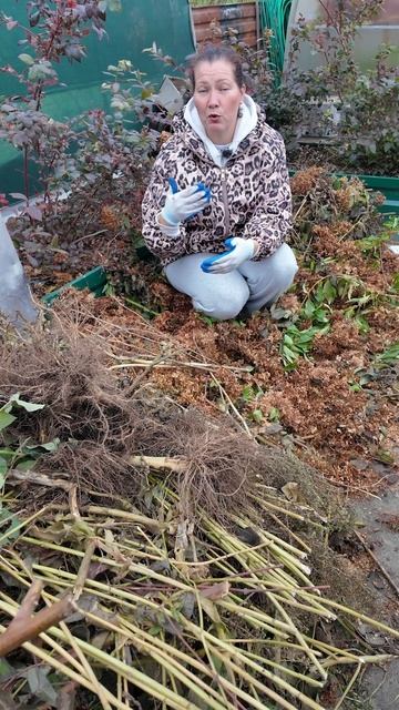 ЗЕМЛЯ КАК ПУХ, ОСЕННЯЯ ДОБАВКА В ГРЯДКИ смотреть онлайн