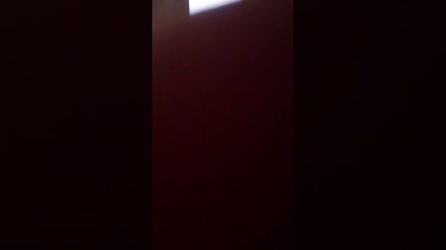 бвлы смотреть онлайн