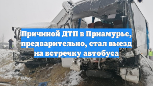 Причиной ДТП в Приамурье, предварительно, стал выезд на встречку автобуса