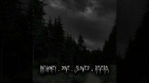 antihoney - dove - (slowed + reverb)