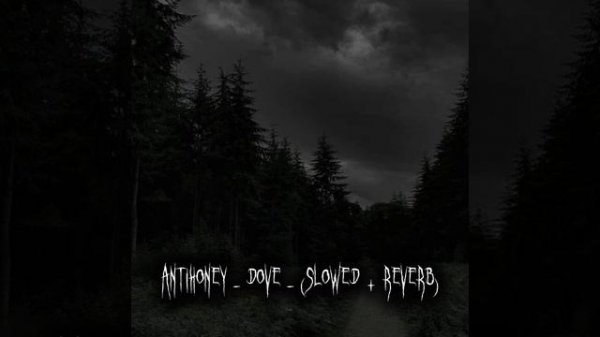 antihoney - dove - (slowed + reverb)