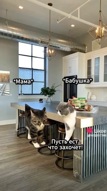 Бабушка спаситель смотреть онлайн