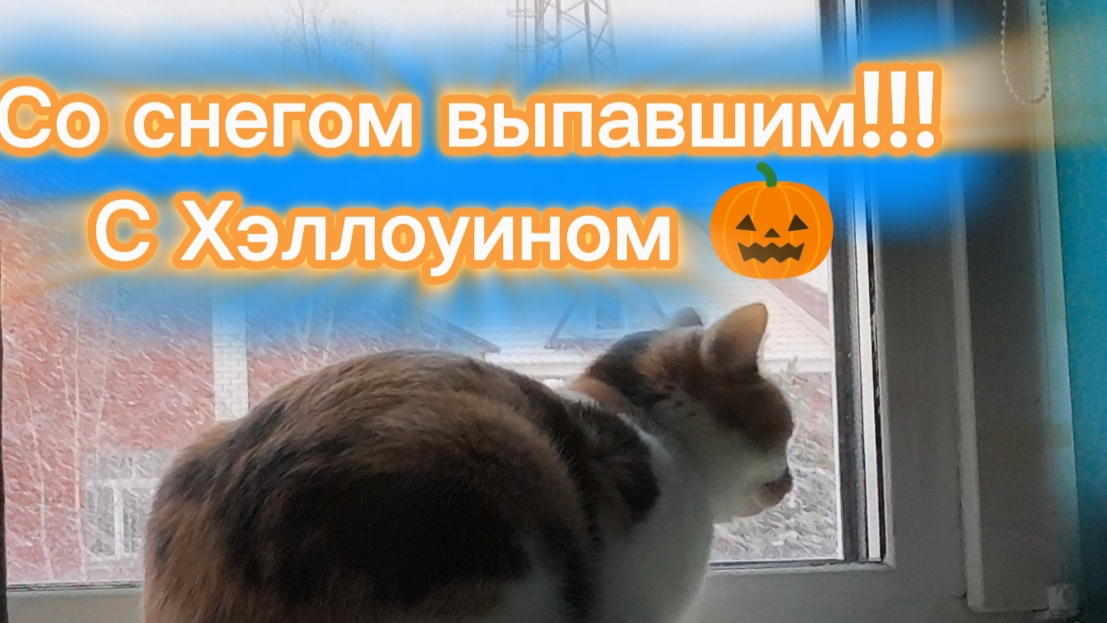 Кица 😺 смотреть онлайн