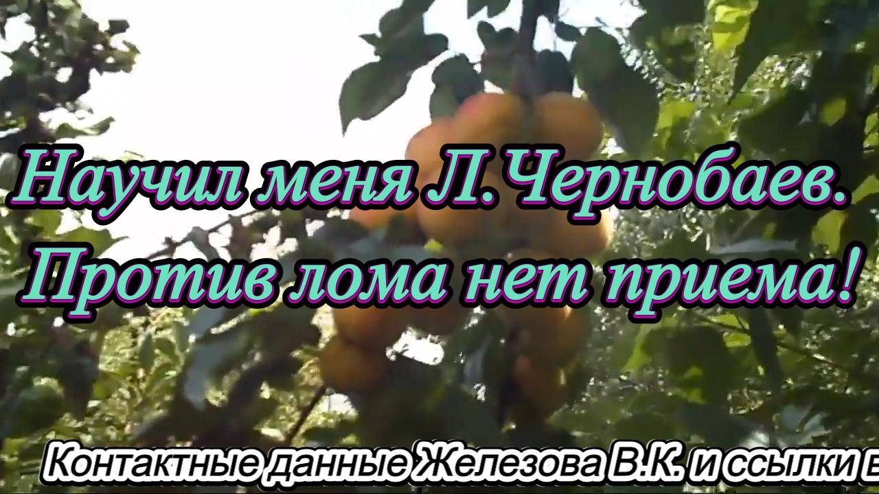 Научил меня Л.Чернобаев. Против лома нет приема! смотреть онлайн