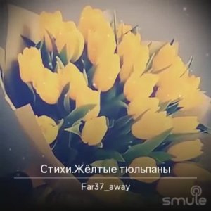 Стихи.Жёлтые тюльпаны (1/2 чтецов) Стихи к 8 марта.