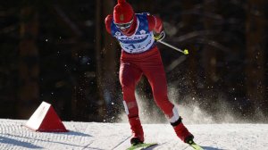 Лыжница Степанова предложила австрийцу забеременеть в ответ на слова о допинге