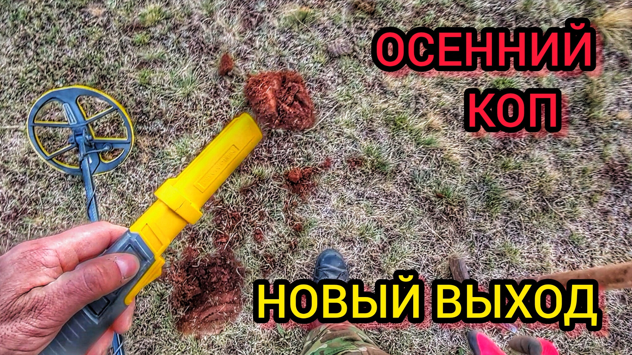 Осенний коп. Поиск с металлоискателем. НОКТА легенд