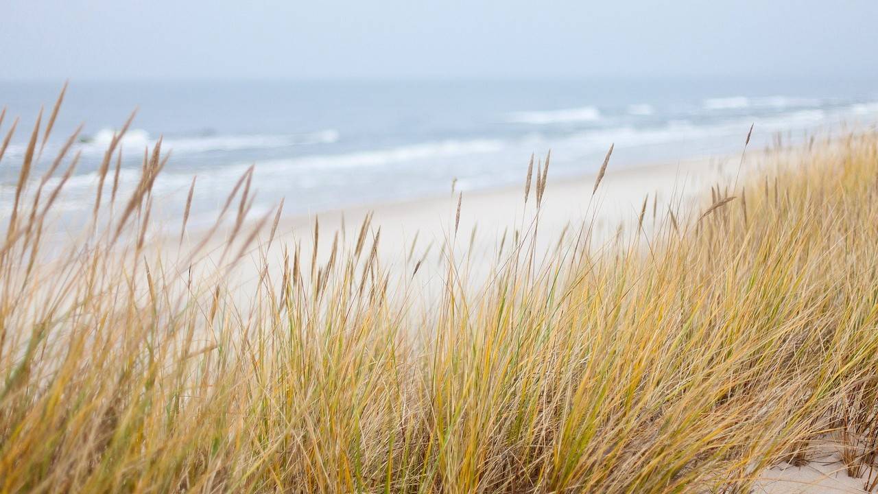 MUDRUNNER: карта СУХОЕ МОРЕ ( автор С. Киличенко ) 4К