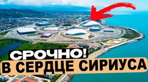 СРОЧНАЯ ПРОДАЖА в Центре Сириуса! Александровский сад СИРИУС