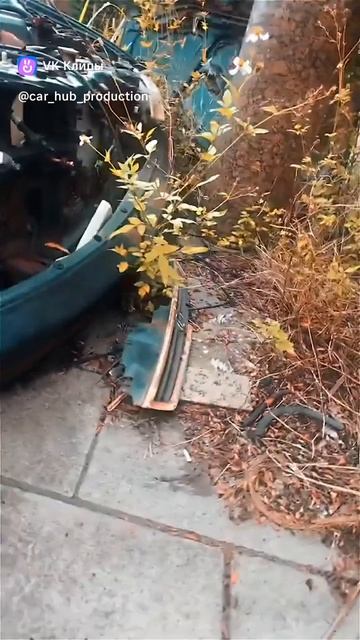 1000002772.mp4 смотреть онлайн