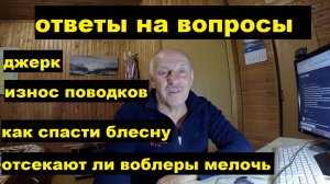 Ответы на вопросы. Износ поводков. Как найти потерянную блесну. Джерк. Отсекают ли воблеры мелочь