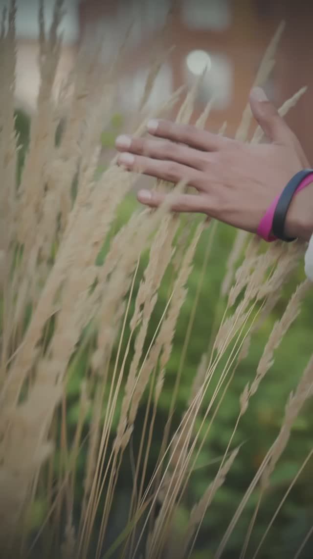 ОКНА - Точка