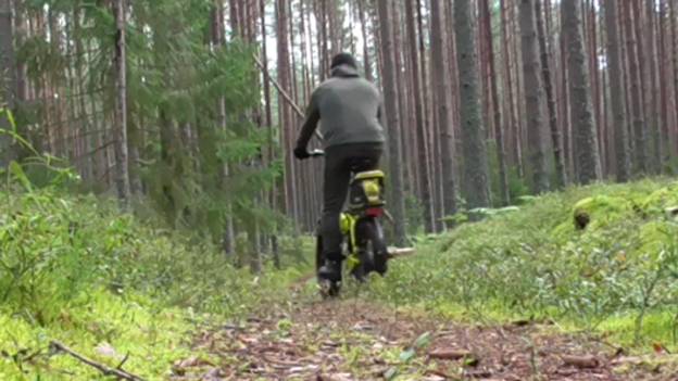 На электрофэтбайке по селигерским лесам