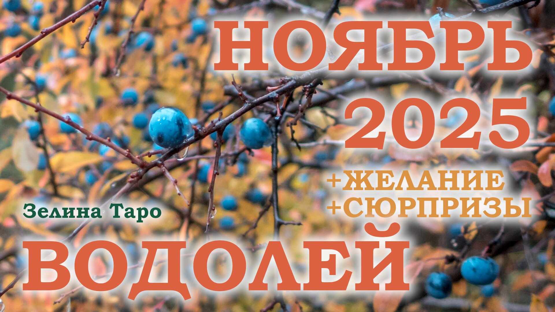 ВОДОЛЕЙ | ТАРО прогноз на НОЯБРЬ 2025 года | Желание | Сюрпризы | Расклад таро смотреть онлайн