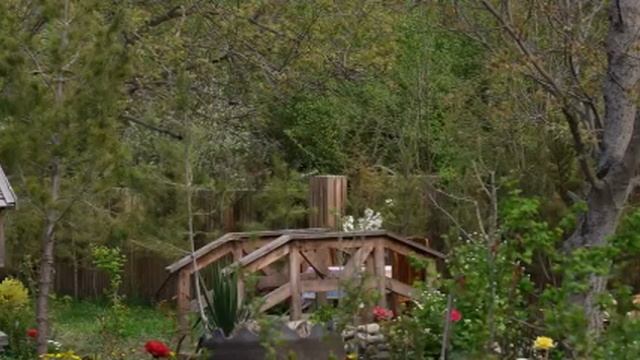 азербайджанская кухня смотреть онлайн