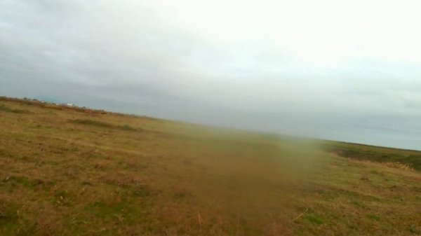 утка с подхода