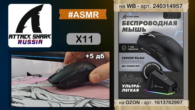 ATTACK SHARK X11 ASMR Clicking Sound | АСМР Клики Мышки | Sound Test смотреть онлайн