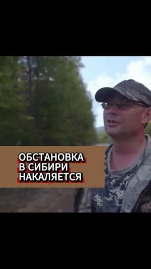 Мнение сибиряка