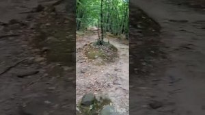 Геленджик. Долина реки Жане. 🙂😀😁🤗