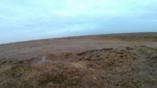 удачная охота на утку с подхода