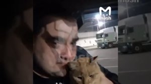 Дальнобойщик Кирилл и кот Бусик