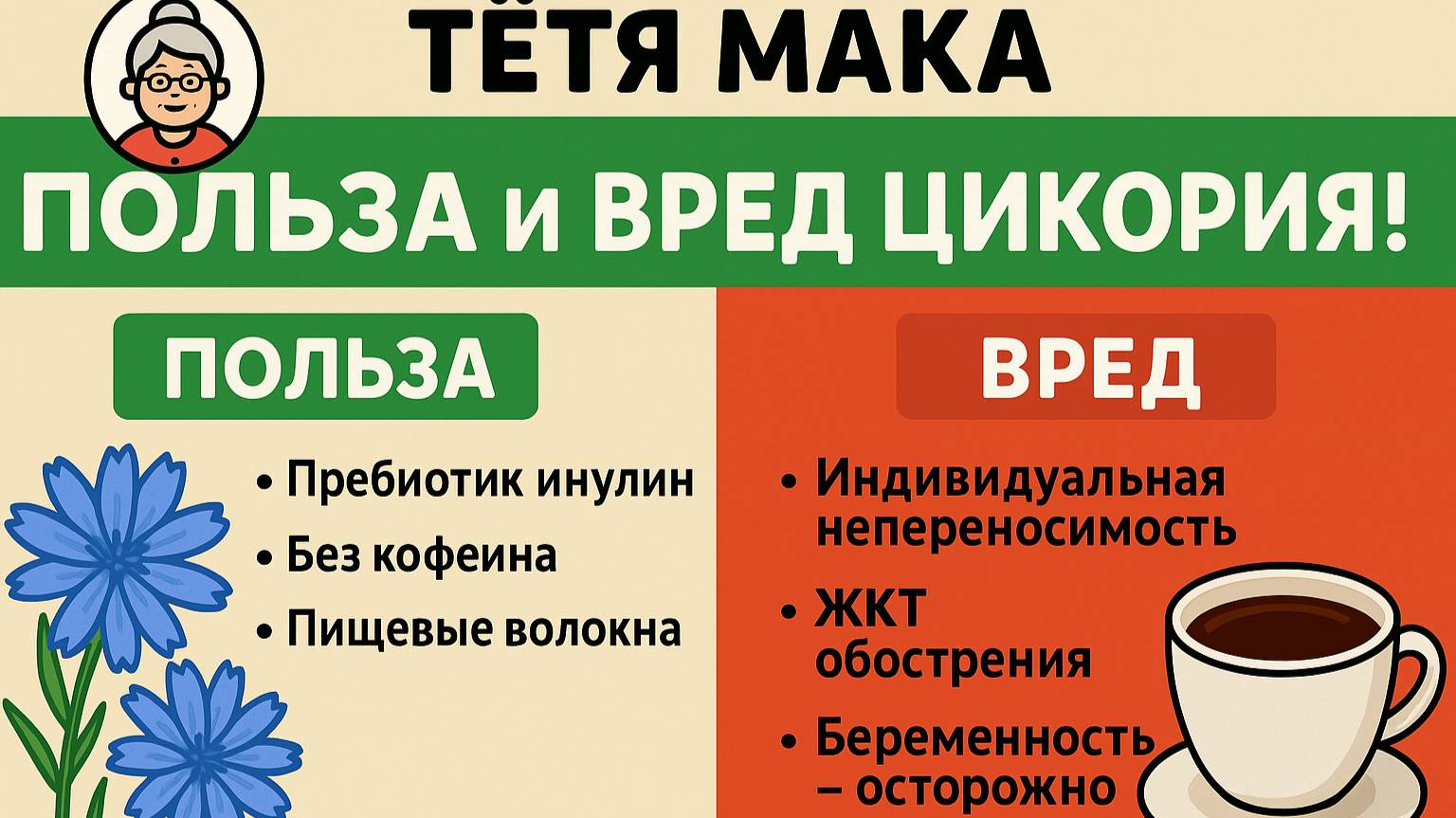 Вред и польза Цикория!